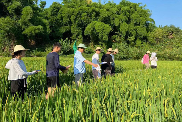 田間地頭是最好的課堂。西南大學供圖