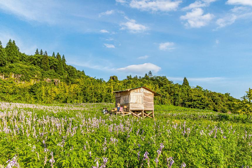 山王坪風(fēng)景美如畫。瞿明斌攝