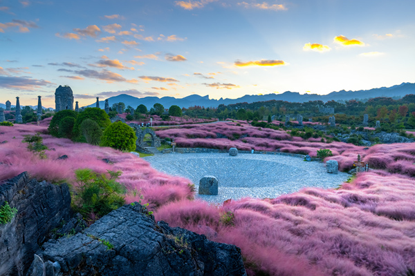 疊石花谷粉黛花開(kāi)。酉陽(yáng)旅投供圖