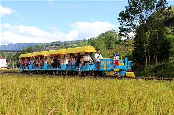 游客乘坐小火車。楊花攝