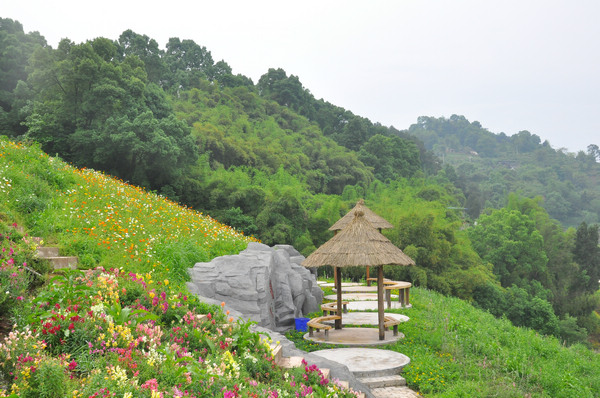 鄉(xiāng)村環(huán)境變美。雙河口鎮(zhèn)供圖