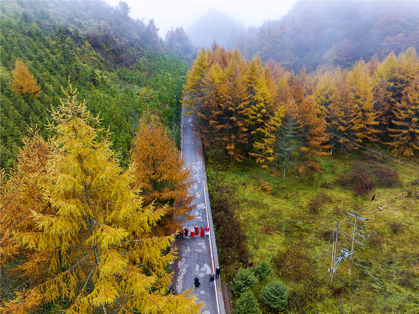 巫山梨子坪秋景。陳光國攝