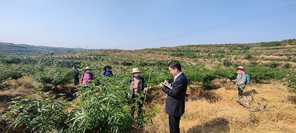 工作人員調(diào)研花椒種植基地。建行重慶市分行供圖