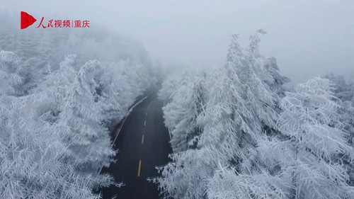 重慶：仙女山迎來今冬首場降雪