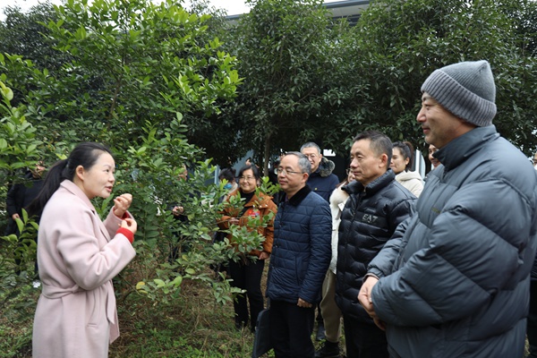 區(qū)人大代表、區(qū)政協(xié)委員基地調(diào)研。蓮花街道供圖