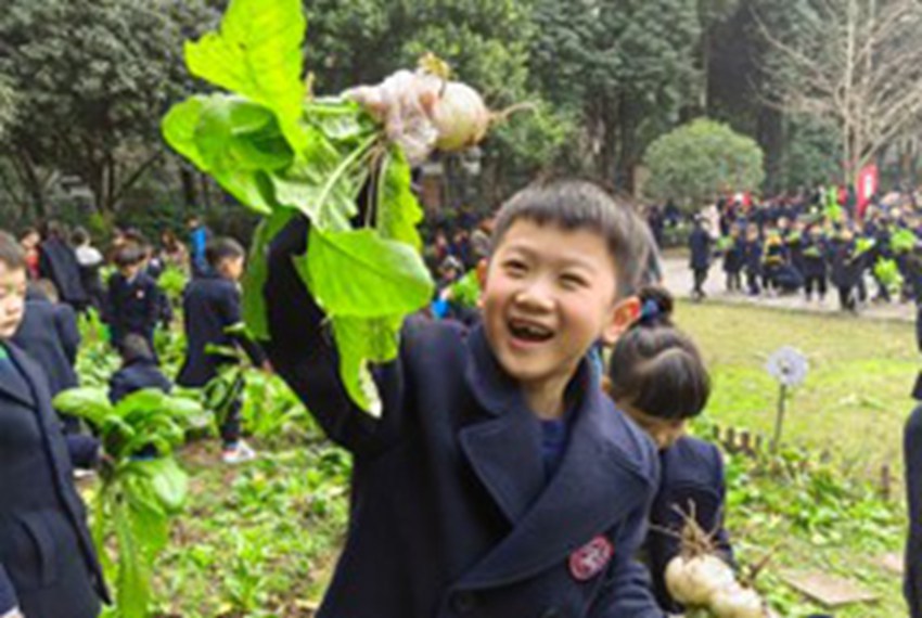 新學期，巴蜀藍湖郡小學陽光農(nóng)場用滿滿的“豐收”暖心禮，溫暖了孩子們的開學季。巴蜀藍湖郡小學供圖