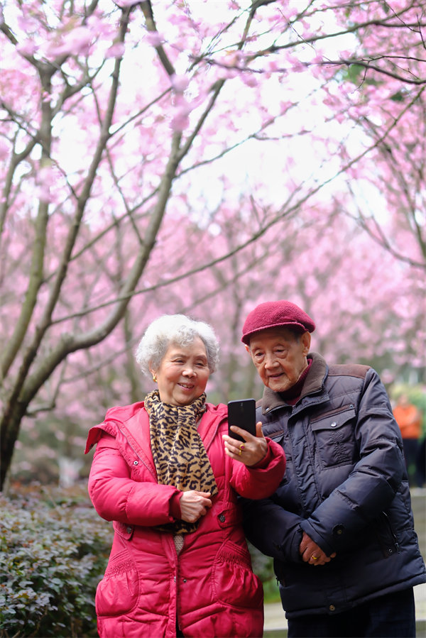 2月24日，南山植物園櫻花競相綻放，吸引不少游客前來賞花游玩。郭旭攝