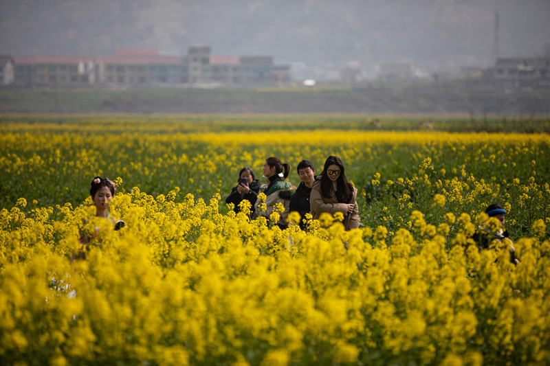 在重慶市秀山縣龍鳳花海景區(qū)，市民游客們正在油菜花田里拍照游玩。胡程攝 (5)