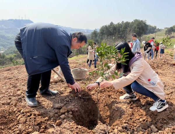 重慶交通開投集團進行植樹。重慶交通開投集團 供圖