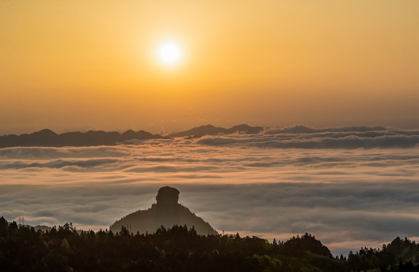 金佛山景區(qū)云霧漫山春色美。瞿明斌攝