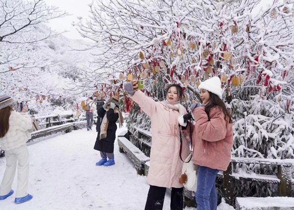 市民在金佛山賞雪。受訪單位供圖