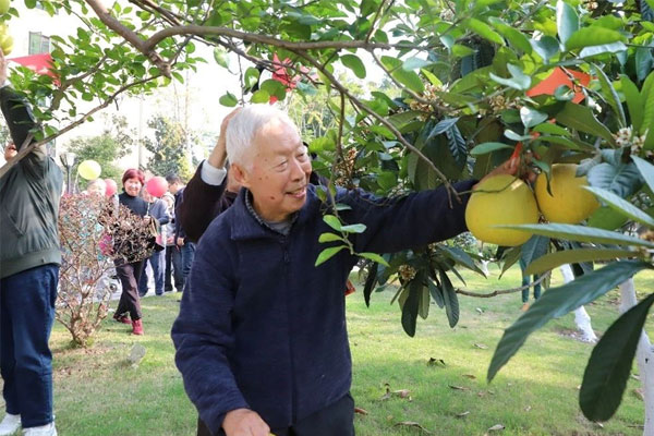 采摘柚子。兩江新區(qū)人民醫(yī)院供圖