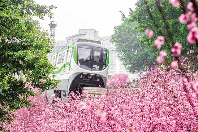 開往春天的列車