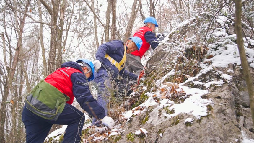 電力巡線員在刀片山上對電力線路開展特巡。彭子紋攝