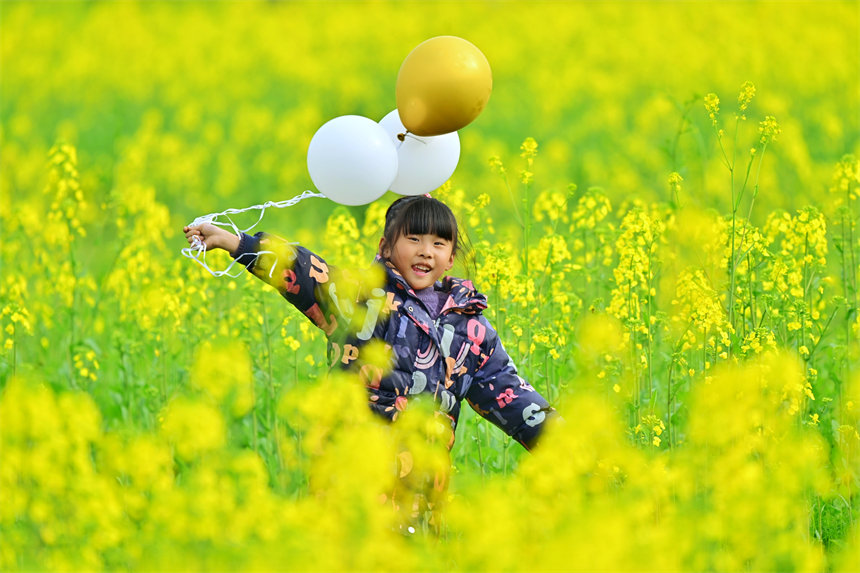 一位小朋友在油菜花田間游玩。郭旭攝