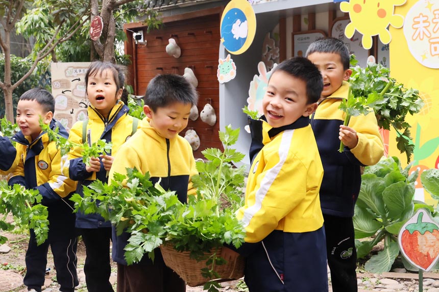 收獲的快樂。朝陽幼教集團供圖