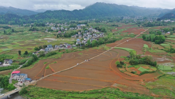 秀山縣在新建的高標(biāo)準(zhǔn)農(nóng)田里首次推廣“飛播”旱稻技術(shù)。秀山縣委宣傳部供圖