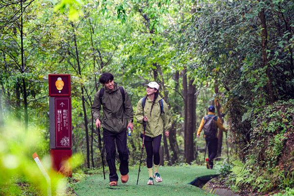 金佛山徒步。景區(qū)供圖