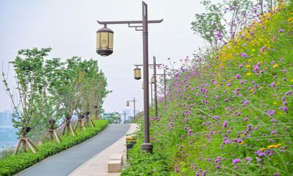 大佛寺濱江公園。郭旭攝