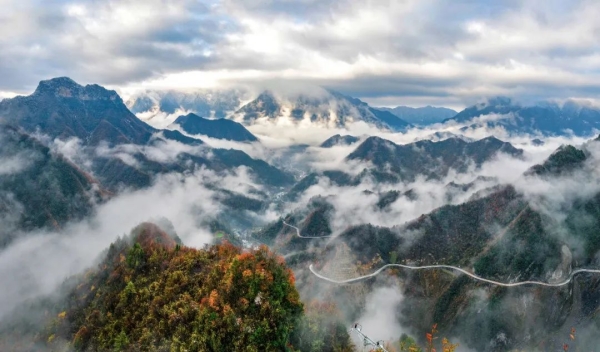 嵐天鄉(xiāng)彩葉。城口縣文旅委供圖