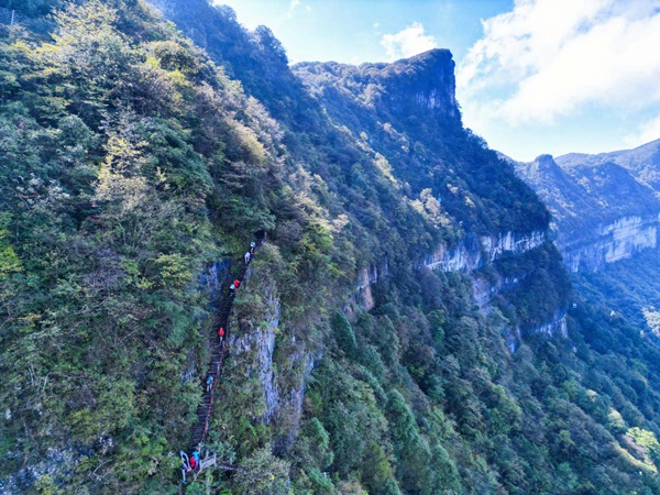 2023年金佛山登山賽。受訪單位供圖