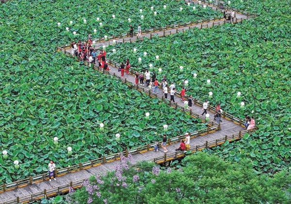 旅客在“荷月江岸”生態(tài)荷塘打卡游玩。華鎣市融媒體中心供圖