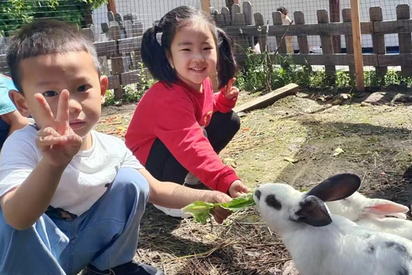 喂兔子。大學(xué)城樹人幼兒園供圖