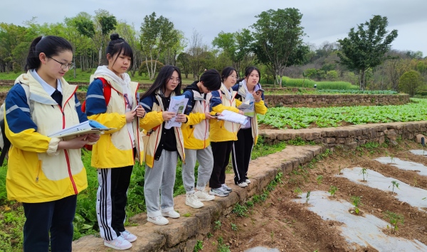 學(xué)生走進(jìn)廣陽(yáng)島。重慶市南坪中學(xué)校供圖