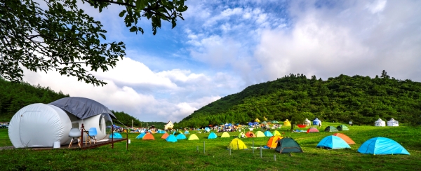 南天湖夏日避暑。南天湖景區(qū)供圖