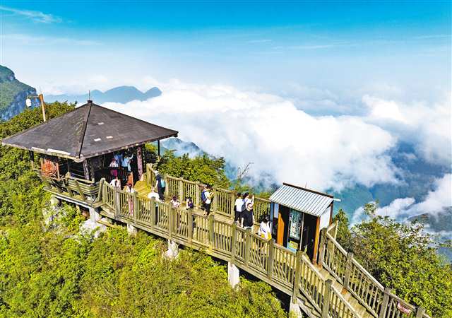 8月11日，南川區(qū)金佛山景區(qū)，云霧繞著喀斯特桌山地貌翻滾、涌動，形成美麗的云海景觀，吸引不少游客打卡拍照。通訊員 胡波 攝/視覺重慶