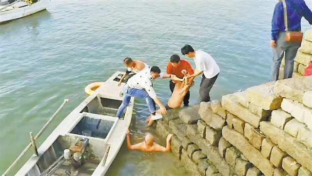 二○二三年十二月十五日，泉州洛陽橋，陳遠清（水中）與眾人合力救起落水者。（視頻截圖）