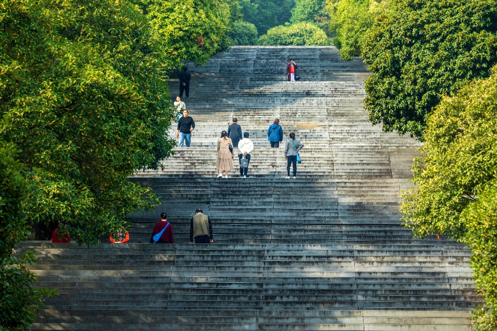 10月15日，涪陵區(qū)，市民來到白鶴森林公園健身、賞桂花。通訊員 張志學(xué) 攝